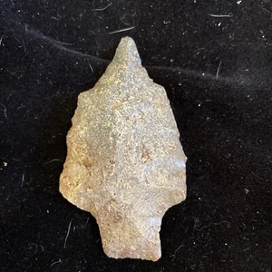 2 3/8 Inch Abbey Drill South Georgia Arrowhead Authentic Coral - Picture 1 of 2