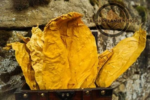 Tabakblätter ''Virginia GOLD " 1 kg Premium Qualität (Tabak, Tabakpflanzen) - Bild 1 von 2
