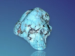 Rare Hand-Carved Skull – 282ct Natural Dry Creek Turquoise Nugget - Picture 1 of 10