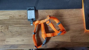 HundegeschirrGr. XXS - XS (2 St.) - Bild 1 von 2