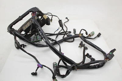 2006 Harley Davidson Heritage Flstc Main Engine Wiring Harness - Image 1 of 4