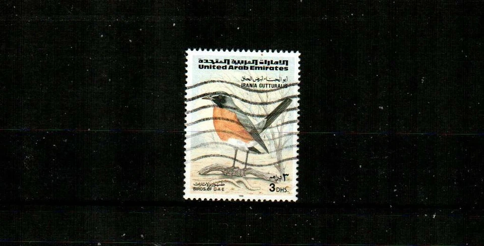 United Arab Emirates Scott's 531 (1v) птица F/VF б/у (1996) - Изображение 1 из 1