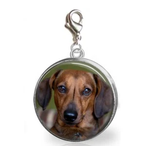 Dachshund Dog Glass Top Clip On Charm Handmade Jewelry Bracelets Purse Charm - Picture 1 of 4