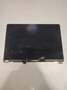 MacBook Pro Bildschirm Defekt Nicht Funktionierend - Bild 1 von 3