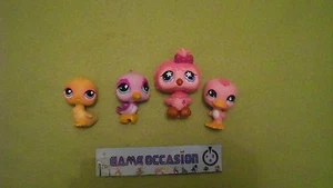 LITTLEST PETSHOP LOT DE 4 PET SHOP OISEAUX - Imagen 1 de 1