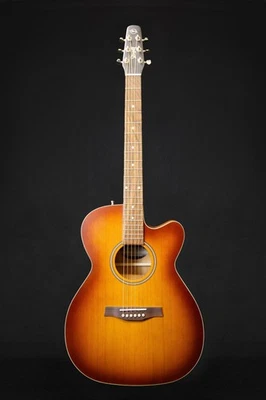 Seagull Entourage Rustic Burst Electro Acoustic Guitar - Image 1 of 4