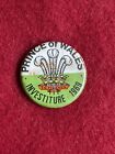 Very Rare Old Prince of Wales lnvestiture 1 July 1969 Vintage Pin Badge 