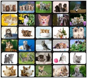 Gedruckte Mausmatte für Computer PC Laptop Mac Anti-Rutsch Mousepad 30 Designs MM18 - Bild 1 von 31
