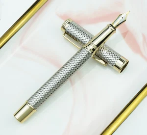 Penna stilografica Crocodile 218 pennino medio, penna regalo argento nobile - Foto 1 di 7