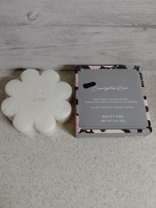 Spongelle All In One Beauty Treatment Body Buffer Eucalyptus Rain 3.0 oz New - Picture 1 of 5