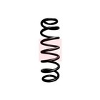 APEC Suspension Spring ACS1830