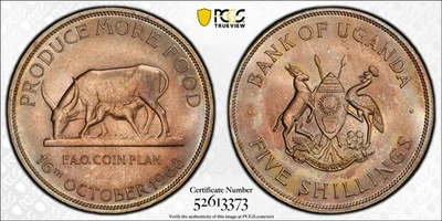 MS67 1968 Uganda F.A.O. 5 Shillings, PCGS- Nicely Toned SOLO TOP POP - Image 1 of 3