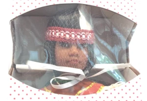 NEW NRFB PARADISE GALLERIES GOLDEN WINGS NATIVE AMERICAN PORCELAIN DOLL WITH COA - Picture 1 of 6