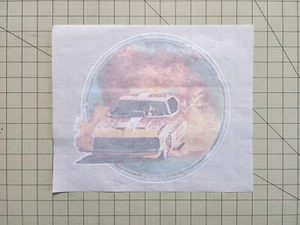 T SHIRT BÜGELBILD TRANSFER MUSTANG ROACH 74 - Bild 1 von 3