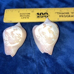 Vintage Handcrafted seashells set of two - Picture 1 of 7