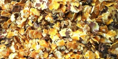 LEONE/GALTIERI MIX CEREALI FIOCCATI E CARRUBBA OVINI, SUINI CONIGLI ECC MAIS/ORZO/FAVINO 25 KG