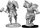 Dungeons & Dragons Nolzur`s Marvelous Miniatures: Male Goliath Fighter