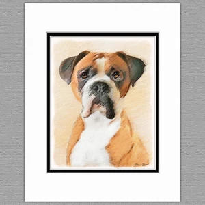 Boxer Hund Original Kunstdruck 8x10 mattiert bis 11x14 - Bild 1 von 1