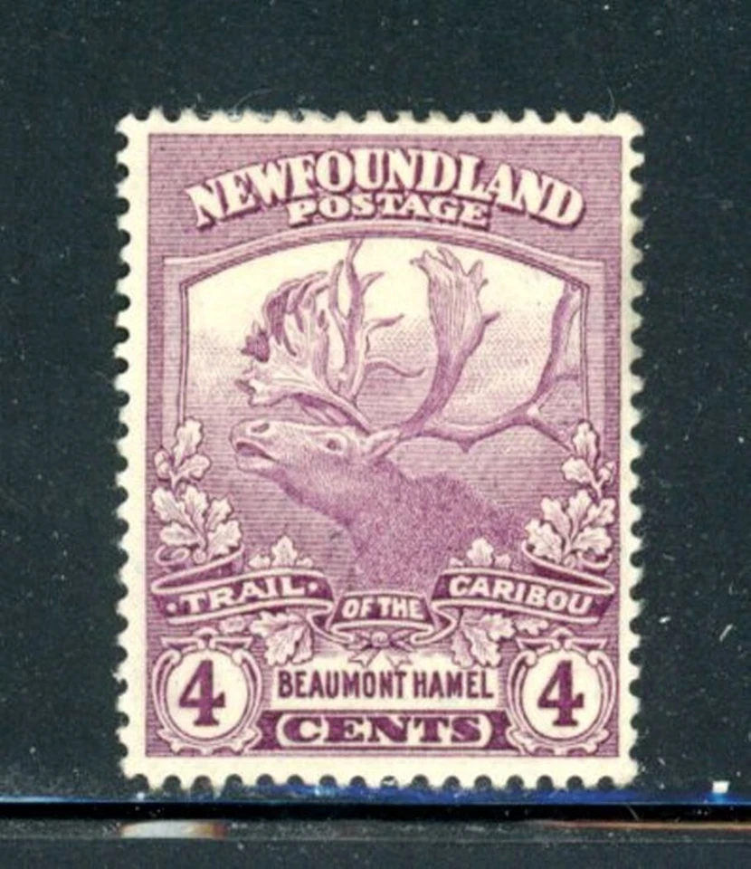 Newfoundland Scott # 118 - MH              (23-C251) - Image 1 of 1