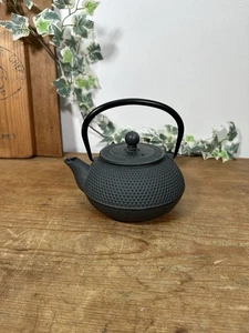 Teiera giapponese nera stile Tetsubin in ghisa con colino - Foto 1 di 11