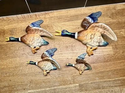 SET OF 4 FALCON WARE GRADUATING FLYING DUCK WALL PLAQUES - Image 1 of 4