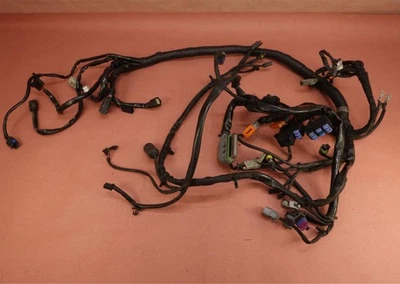 Harley Davidson Dyna Street Bob 2007-2011 FXDBI arnés de cable principal telar de cableado Foto 1 de 4