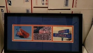 Florida Gators Wooden Framed Print 21"× 11" Nice Preown See Pictures Description - Picture 1 of 5