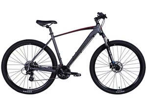 Mountainbike Hardtail MTB 29" Aluminium Scheibenbremsen Grau RH 53 cm Fahrrad - Bild 1 von 3