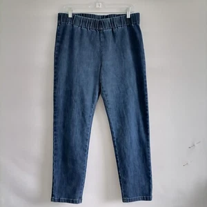 Soft Surroundings Womens Denim Blue High Rise Metro Jegging Jeans Size PL - Picture 1 of 6