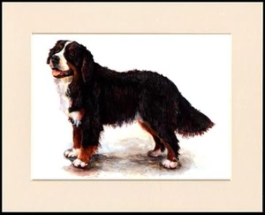 BERNER BERGHUND SCHÖNER DRUCK MONTIERT RAHMENFERTIG - Bild 1 von 1
