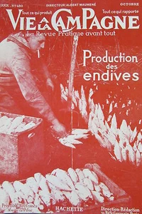 LA VIE à la CAMPAGNE 1950 PRODUCTION ENDIVES PROPRIETE LA MOGERE HERAULT JARDINS - Picture 1 of 2