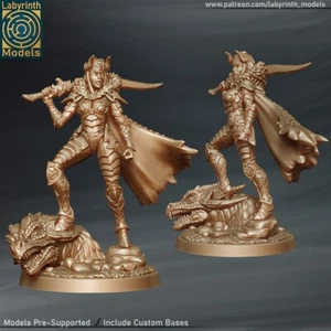 Dragon Slayer V1/TTRPG/Wargaming/Dungeons and Dragons/RPG/Labyrinth Miniatures - Foto 1 di 1