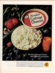 1964 BORDEN'S Cottage Cheese Dairy Rivista Vintage Stampa Pubblicità - Foto 1 di 1