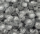 Lot de 50 casquettes de perles filigrane rondes ton argent métal minuscule 9 mm perles vintage
