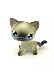 Gatito Siamés Ojos Azules Pelo Corto Gato Littlest Pet Shop LPS #5 - Imagen 1 de 15