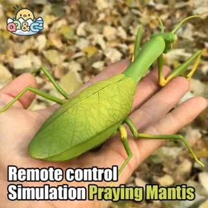 RC Tier Roboter Antistress Insekten Spielzeug Infrarot Simulation Spinne Elektro Spielzeug - Bild 1 von 21