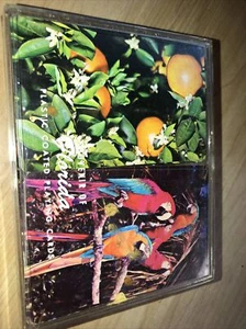 Playing Cards Double Deck Plastic Box Used Florida Souvenir - Picture 1 of 3