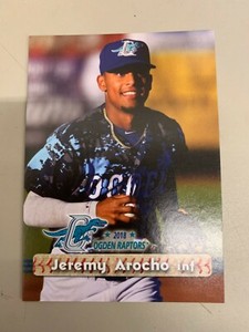 Jeremy Arocho 2018 Ogden Raptors Team Card