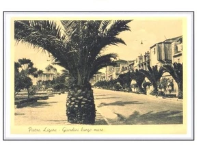 #067 Stampa 29,6 CM. x 20,9 Cm. Pietra Ligure - Giardini lungo mare - Picture 1 of 1