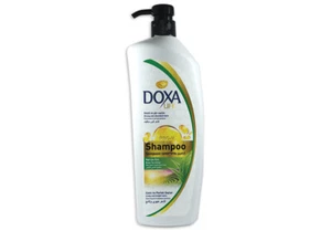 Shampoo Grüntee Extrakt 1000 ml | belebt und reinigt die Haare - Bild 1 von 1