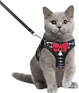 Escape-Proof Cat Harness and Leash Set – Breathable Adjustable Mesh Pet Harness - Picture 1 of 18