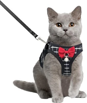 Juego de arnés y correa para gatos a prueba de fugas - Arnés para mascotas de malla ajustable transpirable  Foto 1 de 4