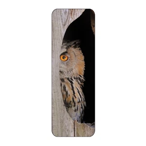 OWL PEEKING BIRD NOVELTY BOOKMARK SAME IMAGE BOTH SIDES GREAT GIFT - Picture 1 of 1