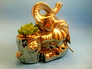 NEU GC Duft Elefant Figur mit Potpourri Halter & Faux Sukkulente - Bild 1 von 9