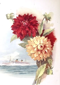 1952 Home Lines MS Italia Kreuzfahrtschiff Tourist Class Mittagsmenü Deutsch-Englisch - Bild 1 von 4