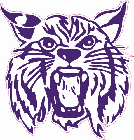 Kansas State Wildcats 72-73 Full Size Football Helmet Decals Cover