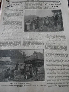 Tigerjagd in Annam der Verletzte aus Bambusholz Old Print 1911 - Bild 1 von 1
