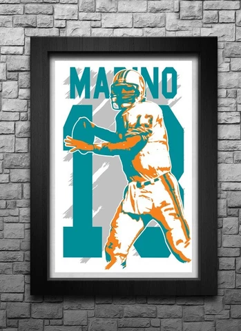 DAN MARINO art print/poster MIAMI DOLPHINS FREE S&H! JERSEY Cover