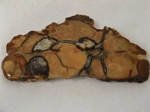 DIG-N-UTAH: SLAB WAYNE CO. UTAH SEPTARIAN ROUGH CAB # J 161 - Picture 1 of 3