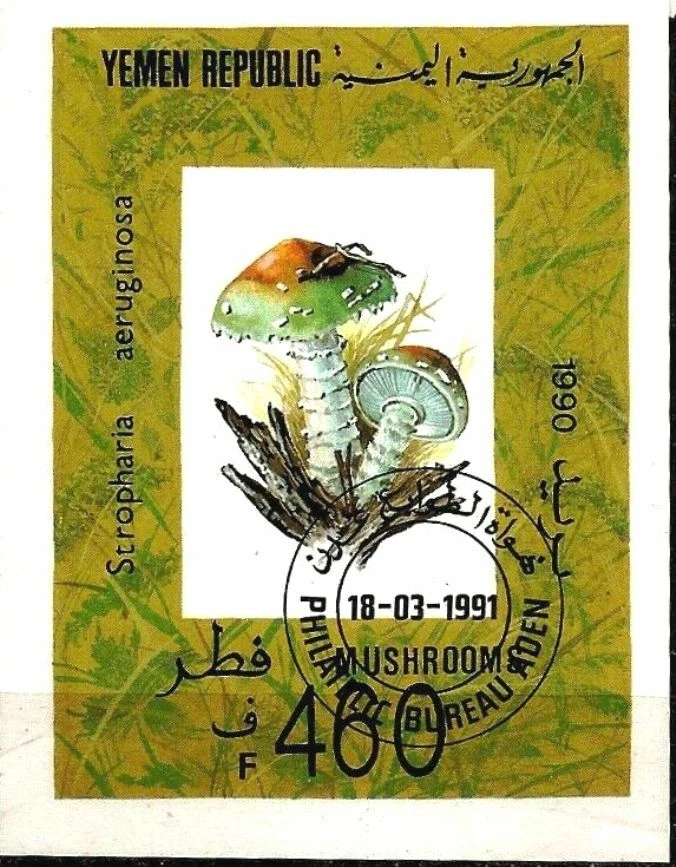 Used S/S  Flora Mushrooms 1991  from  Yemen  avdpz - Image 1 of 1